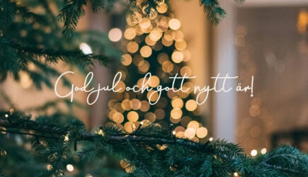 God jul från oss på Träullit!